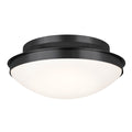Bretta Ceiling Light 52545BK