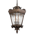 Tournai Outdoor Hanging Light 9568LD